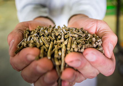 demontrez-votre-interet-pour-notre-societe