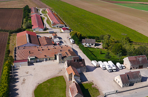 plan auvergne poussins