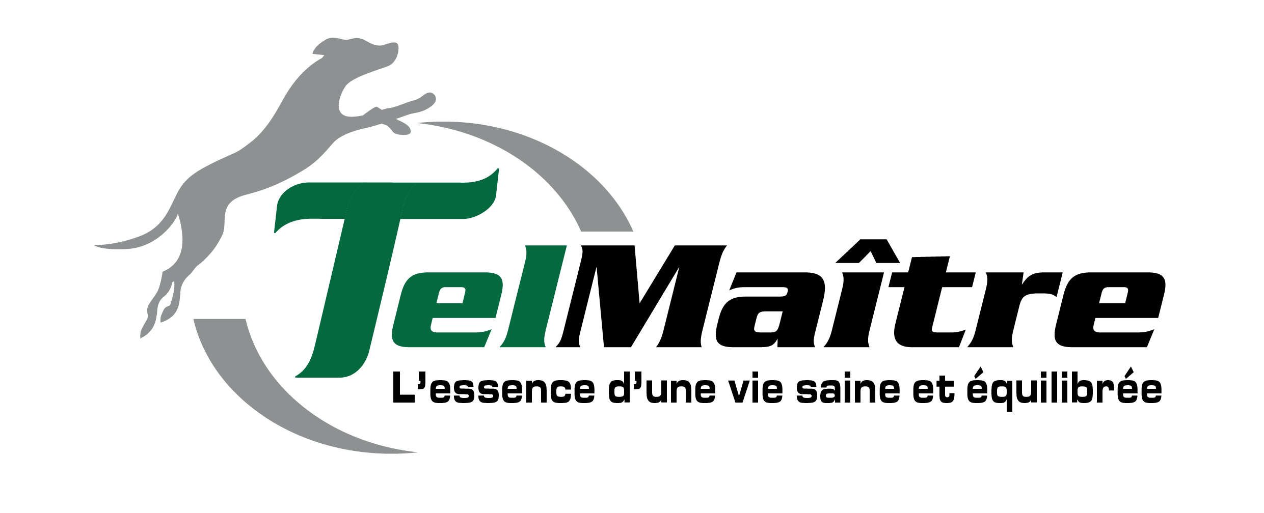 Logo TelMaître