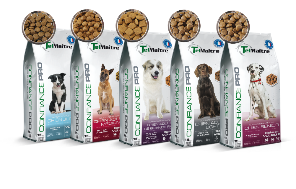 Logo chien confiance pro