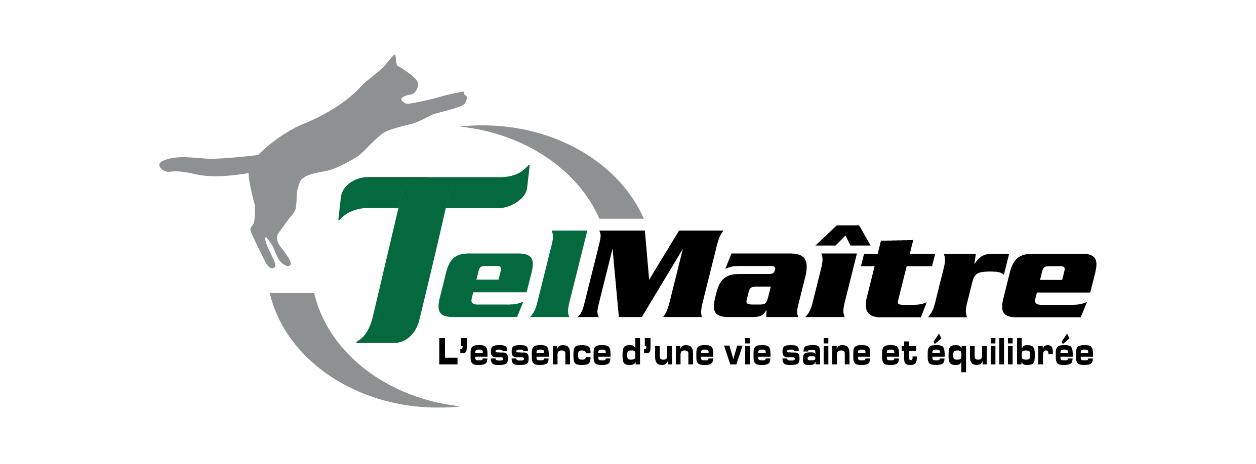 Logo TelMaître - chat