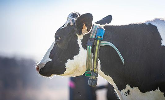 Solutions connectées