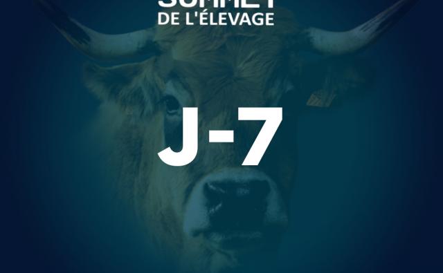 SOMMET_ELEVAGE