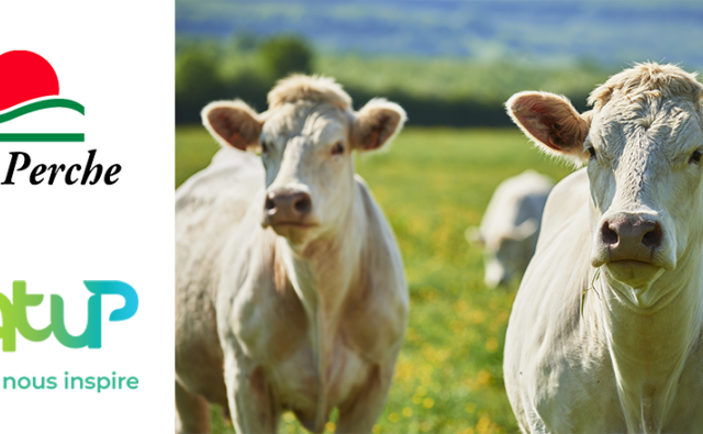 Boviperche &amp; NatUp se rapprochent