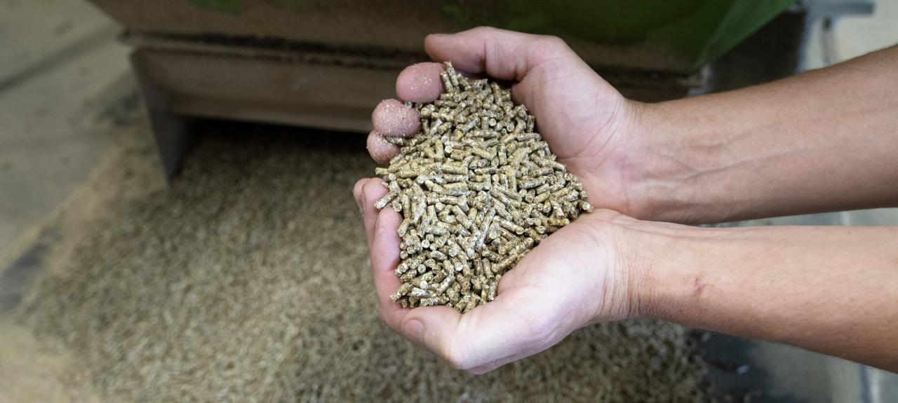 granule
