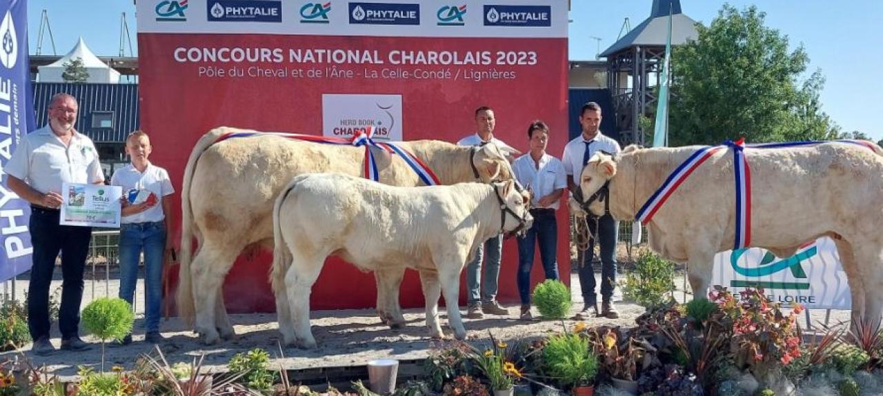 national_charolais