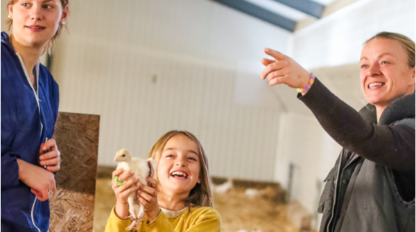 Force Centre Volaille